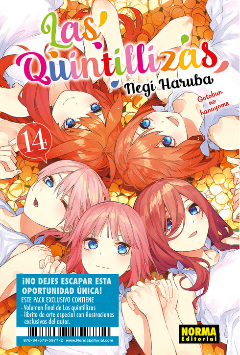 Las Quintillizas 14 + Librito de Arte