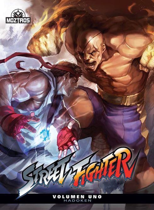 Street Fighter 01