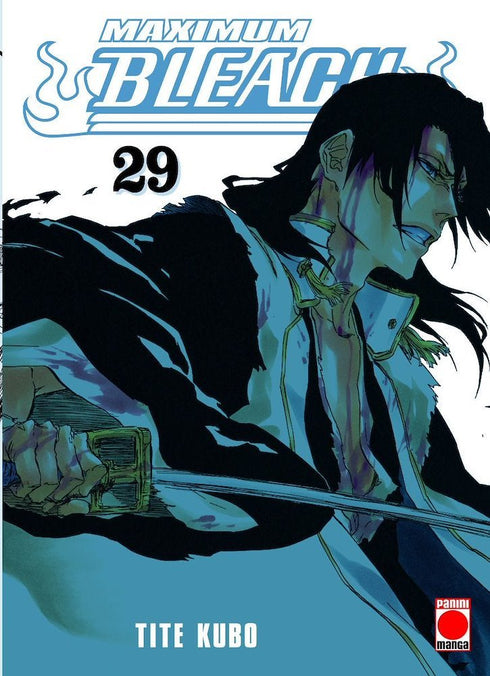 Bleach Maximum 29
