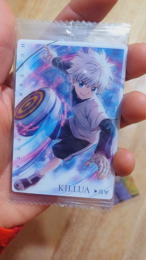 Itajaga Hunter x Hunter 04