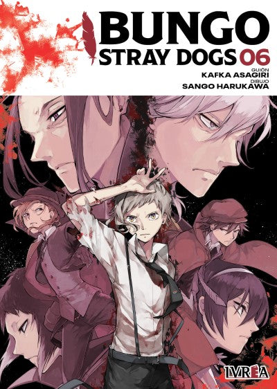 Bungou Stray Dogs 06