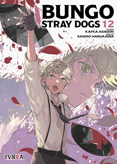 Bungou Stray Dogs 12