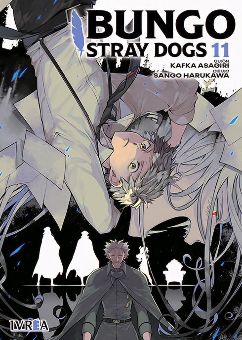 Bungou Stray Dogs 11