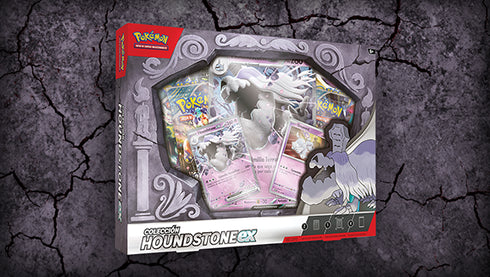 Pokémon TCG Houndstone ex Box (Español)
