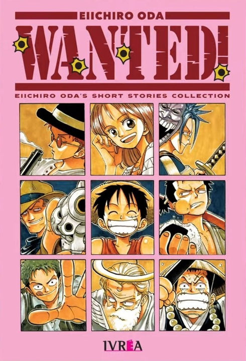 One Piece Wanted
