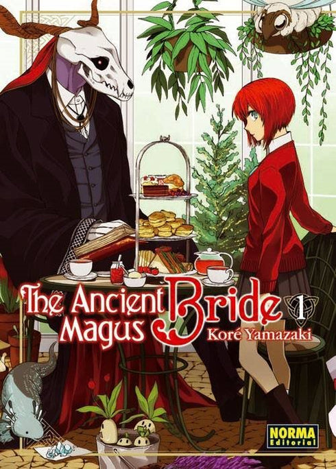 The Ancient Magus Bride 01