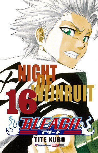 Bleach 16