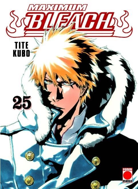 Bleach Maximum 25