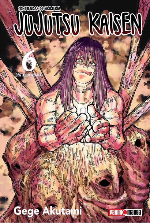 Jujutsu Kaisen 06