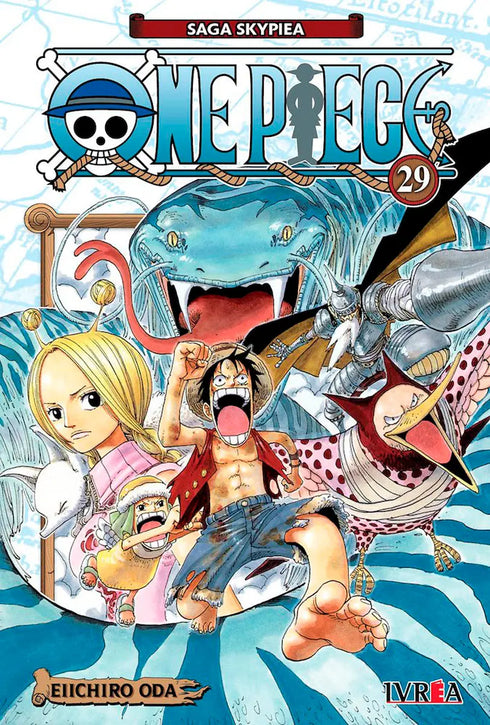 One Piece 29